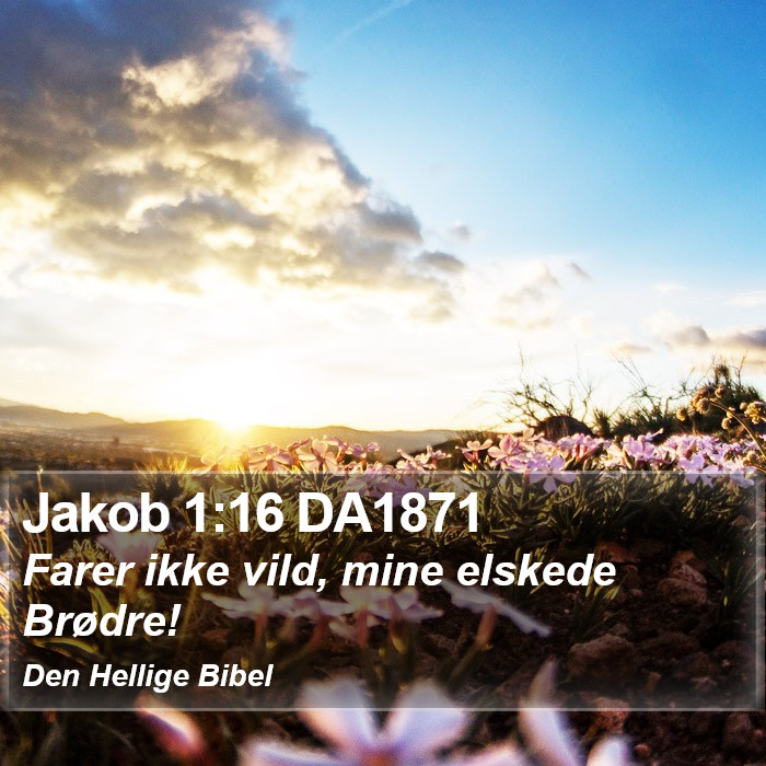 Jakob 1:16 DA1871 Bible Study