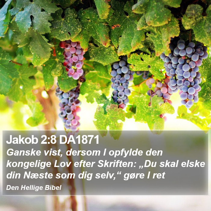 Jakob 2:8 DA1871 Bible Study