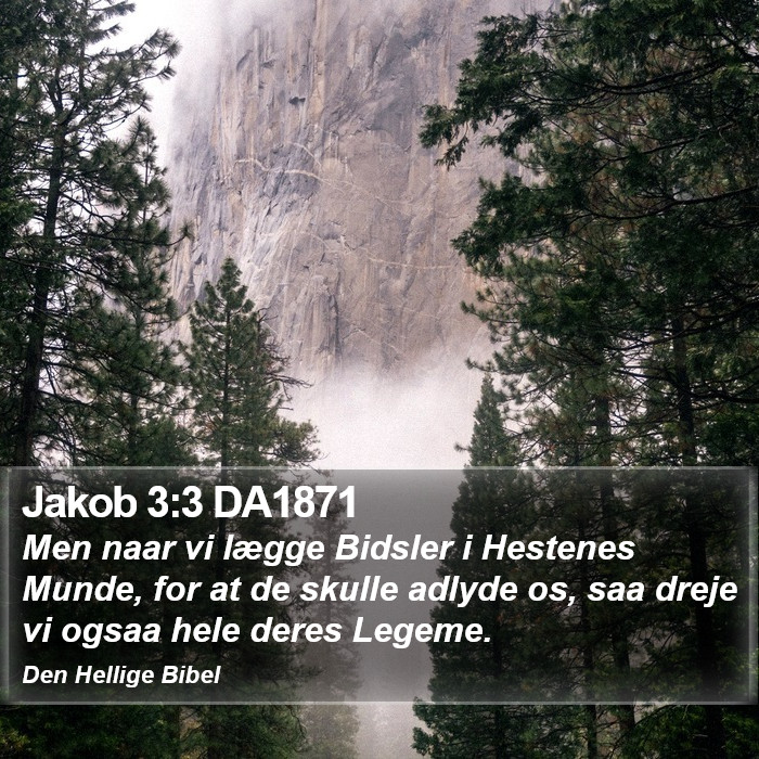 Jakob 3:3 DA1871 Bible Study