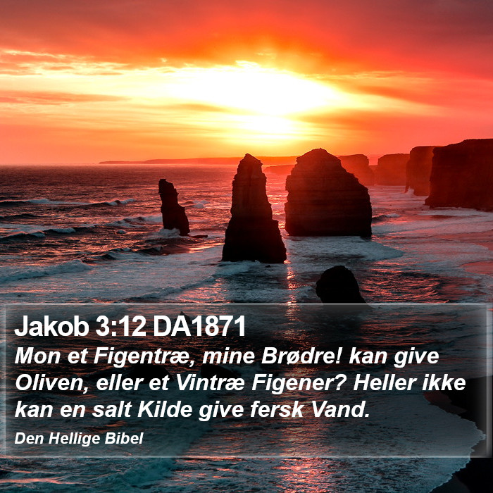 Jakob 3:12 DA1871 Bible Study