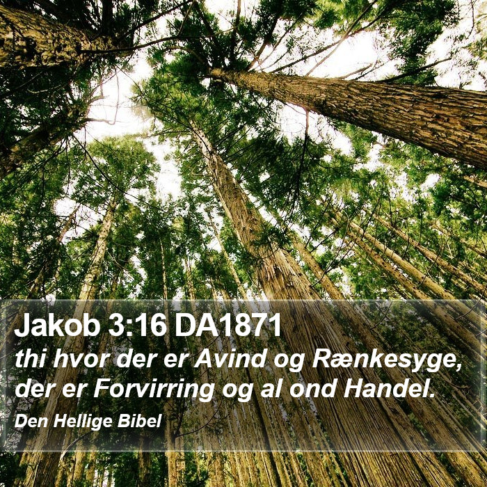 Jakob 3:16 DA1871 Bible Study