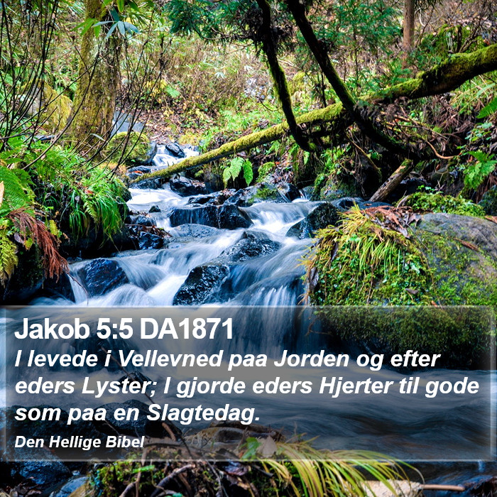 Jakob 5:5 DA1871 Bible Study