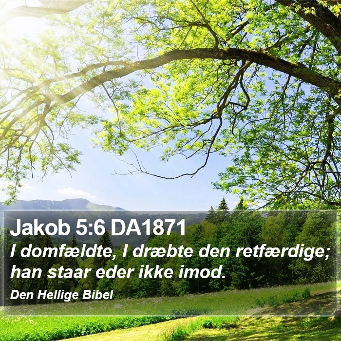 Jakob 5:6 DA1871 Bible Study