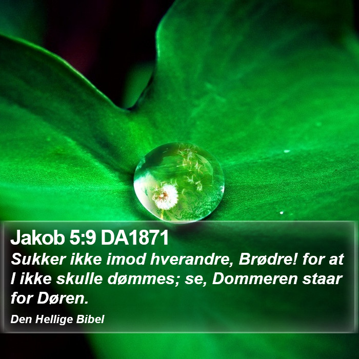 Jakob 5:9 DA1871 Bible Study