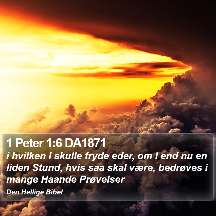 1 Peter 1:6 DA1871 Bible Study