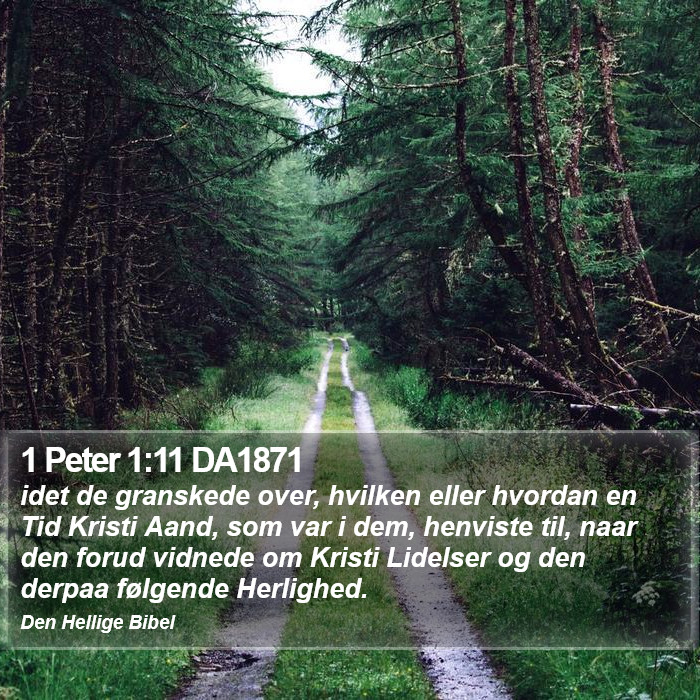 1 Peter 1:11 DA1871 Bible Study