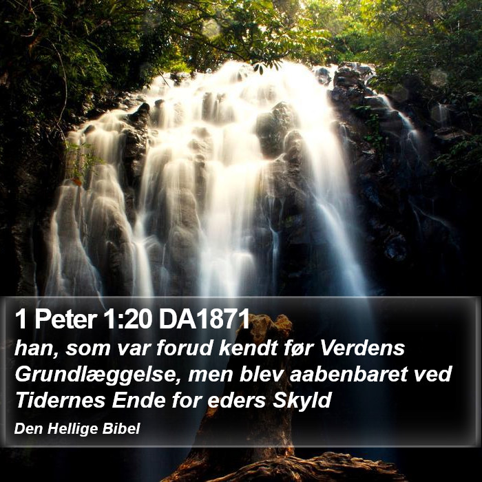 1 Peter 1:20 DA1871 Bible Study