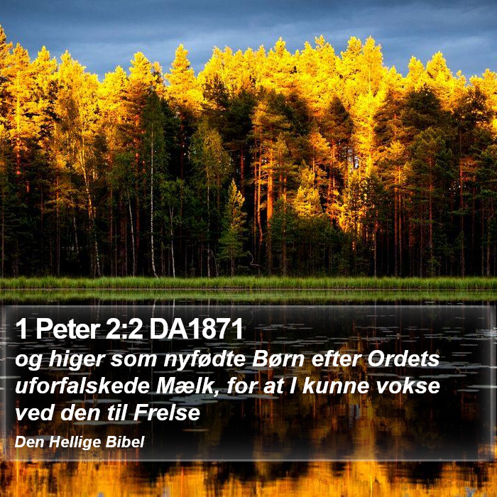 1 Peter 2:2 DA1871 Bible Study