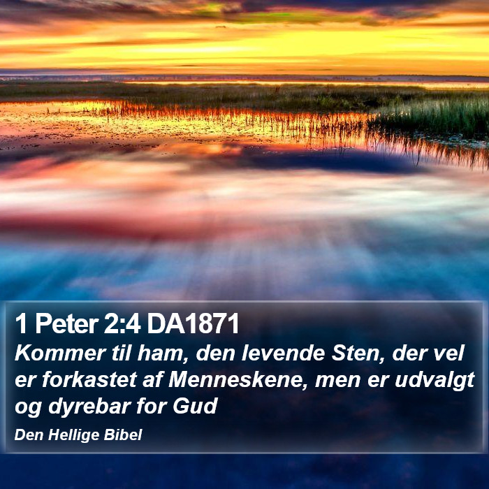 1 Peter 2:4 DA1871 Bible Study