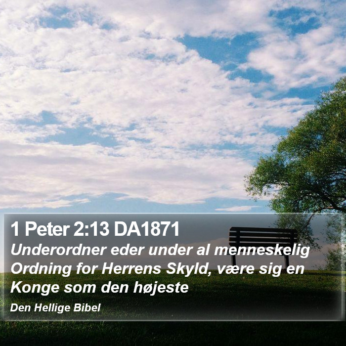 1 Peter 2:13 DA1871 Bible Study