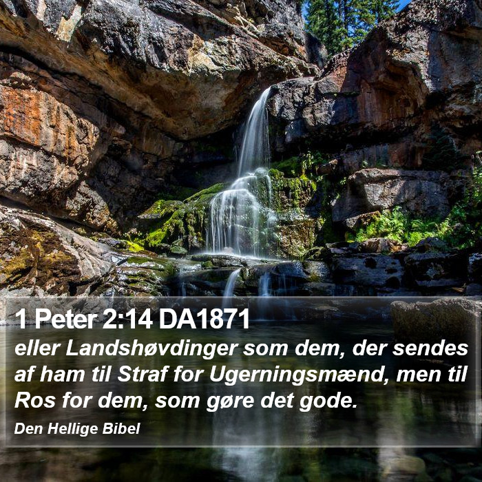 1 Peter 2:14 DA1871 Bible Study