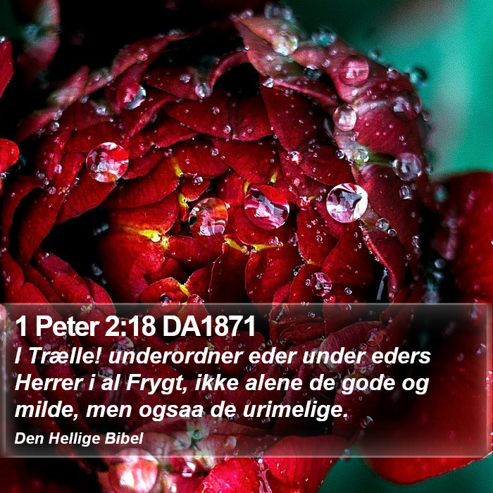 1 Peter 2:18 DA1871 Bible Study