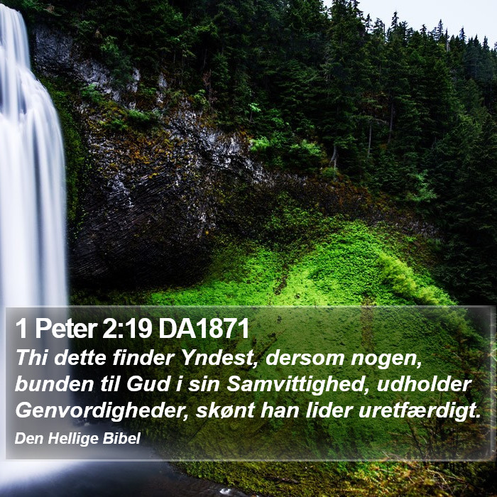 1 Peter 2:19 DA1871 Bible Study