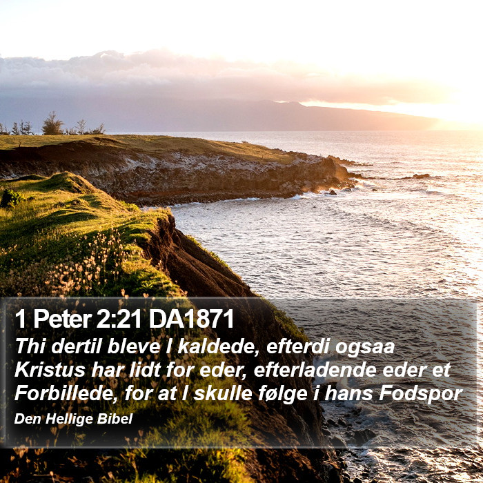 1 Peter 2:21 DA1871 Bible Study