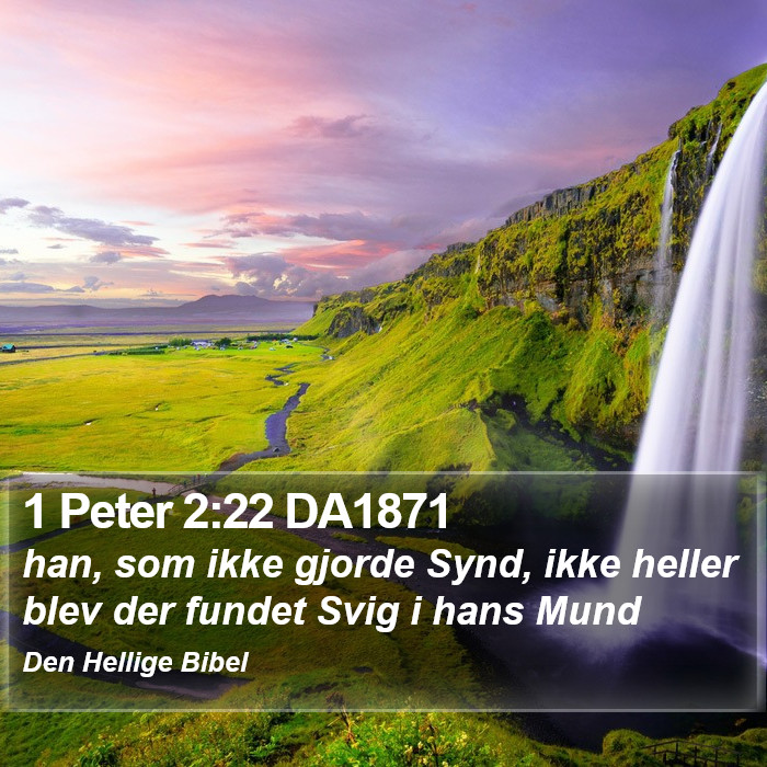 1 Peter 2:22 DA1871 Bible Study