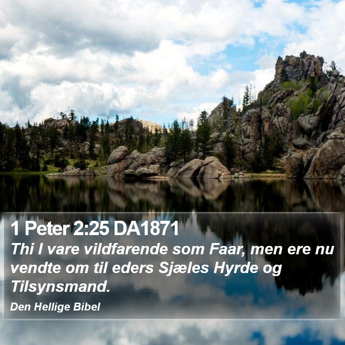 1 Peter 2:25 DA1871 Bible Study