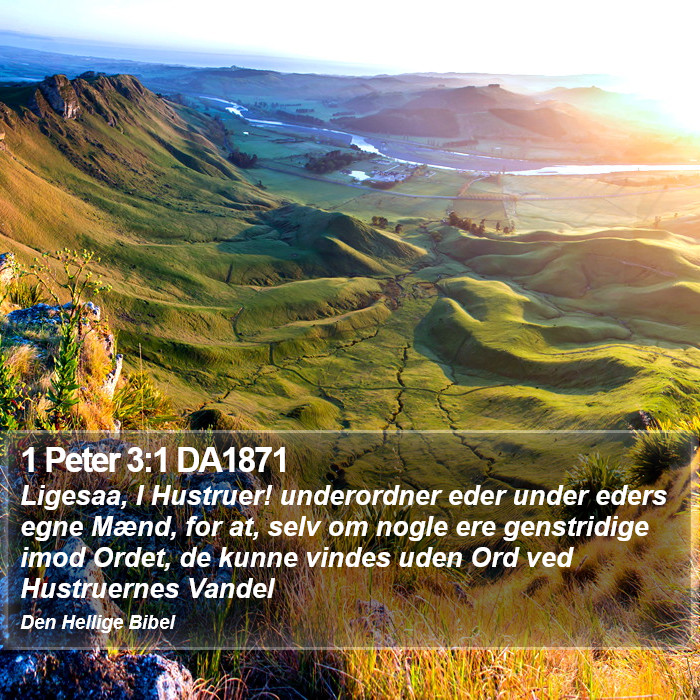 1 Peter 3:1 DA1871 Bible Study