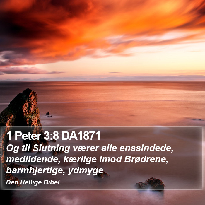 1 Peter 3:8 DA1871 Bible Study