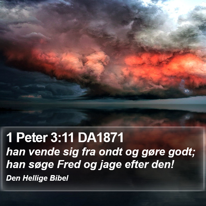 1 Peter 3:11 DA1871 Bible Study