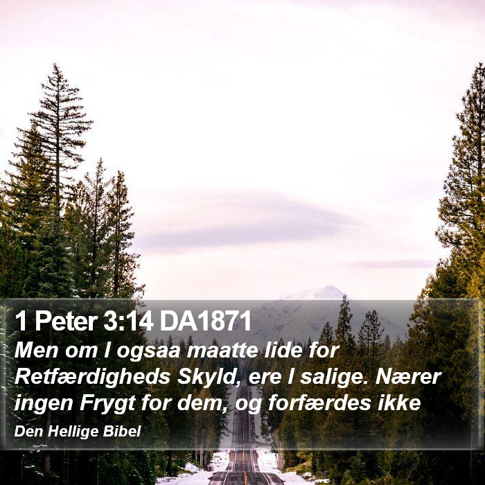 1 Peter 3:14 DA1871 Bible Study