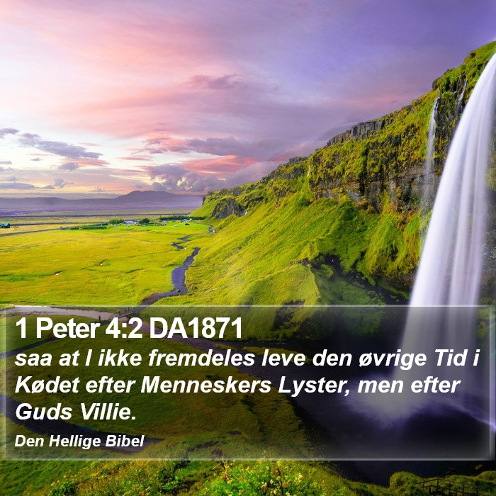 1 Peter 4:2 DA1871 Bible Study