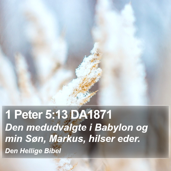 1 Peter 5:13 DA1871 Bible Study