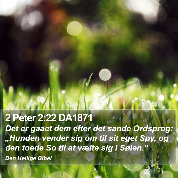 2 Peter 2:22 DA1871 Bible Study