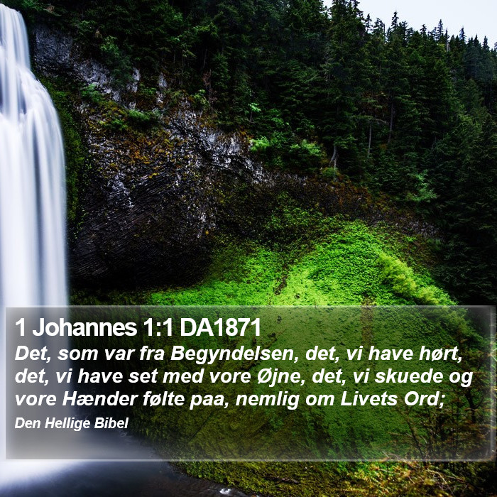 1 Johannes 1:1 DA1871 Bible Study