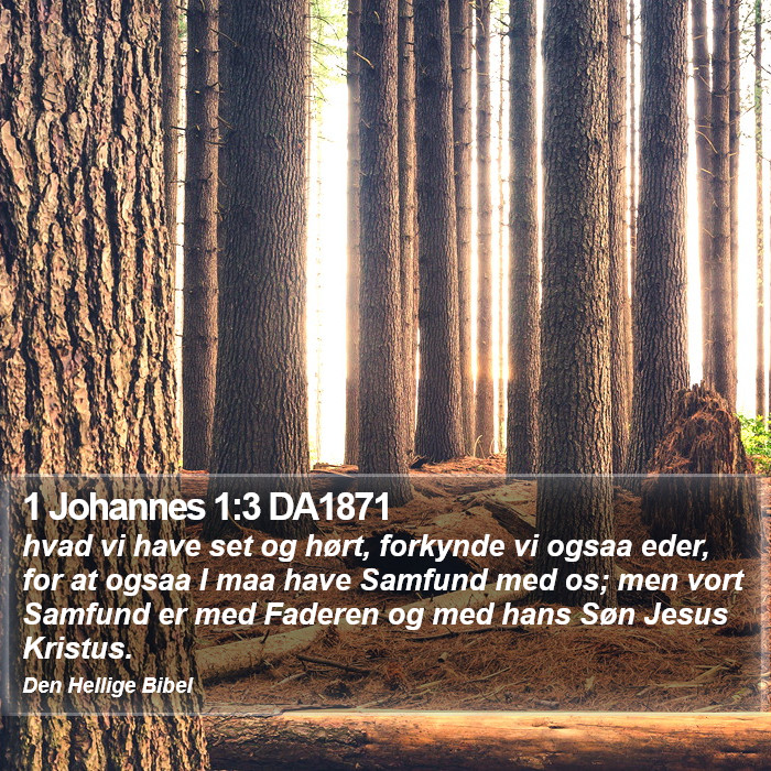 1 Johannes 1:3 DA1871 Bible Study