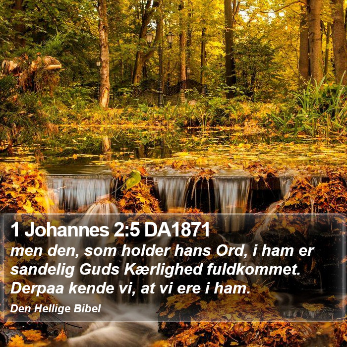 1 Johannes 2:5 DA1871 Bible Study