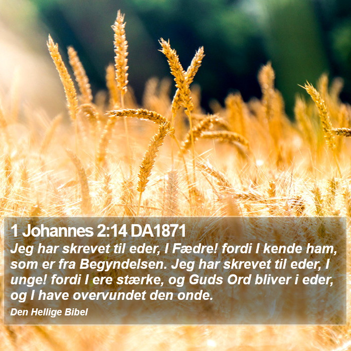 1 Johannes 2:14 DA1871 Bible Study