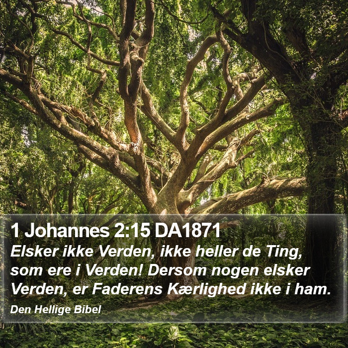 1 Johannes 2:15 DA1871 Bible Study