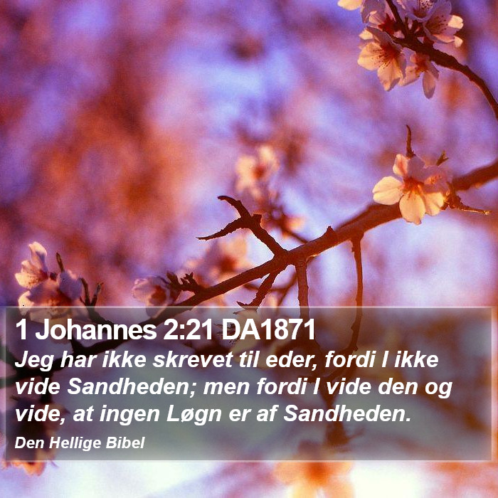 1 Johannes 2:21 DA1871 Bible Study