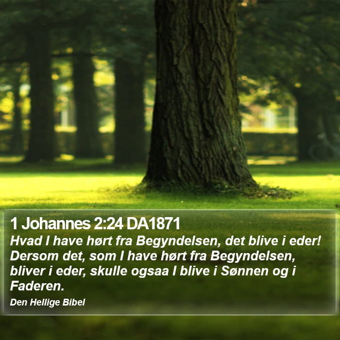 1 Johannes 2:24 DA1871 Bible Study