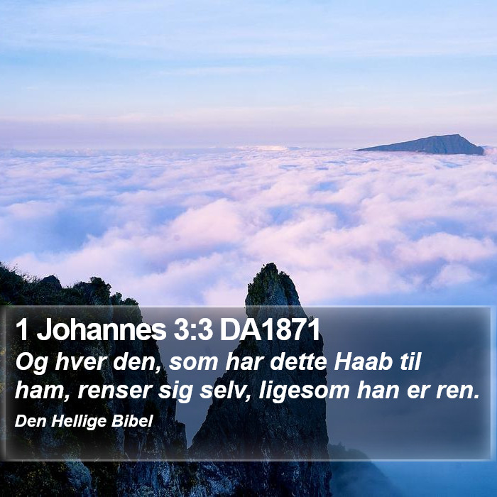 1 Johannes 3:3 DA1871 Bible Study