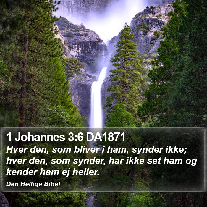 1 Johannes 3:6 DA1871 Bible Study