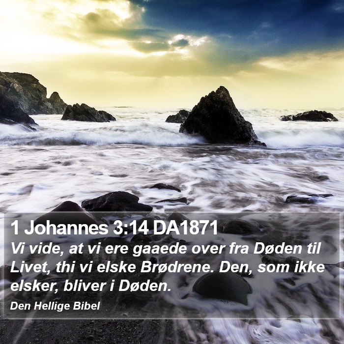 1 Johannes 3:14 DA1871 Bible Study