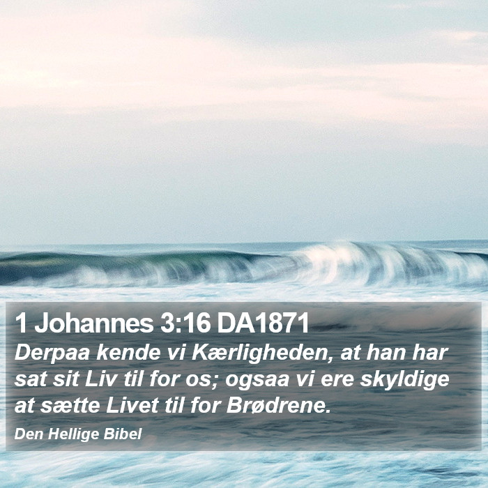 1 Johannes 3:16 DA1871 Bible Study