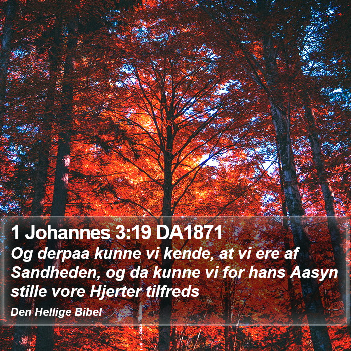 1 Johannes 3:19 DA1871 Bible Study