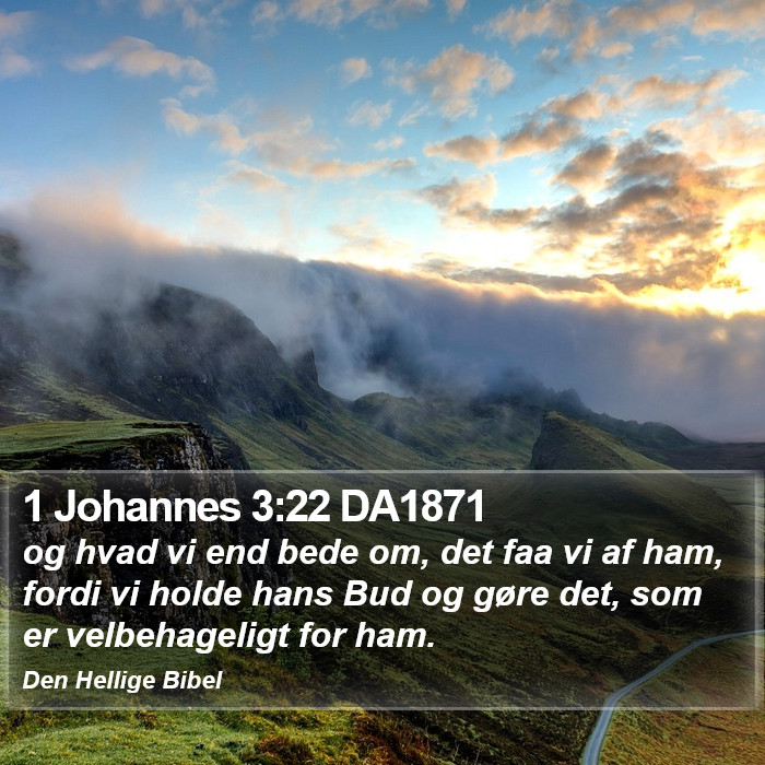 1 Johannes 3:22 DA1871 Bible Study