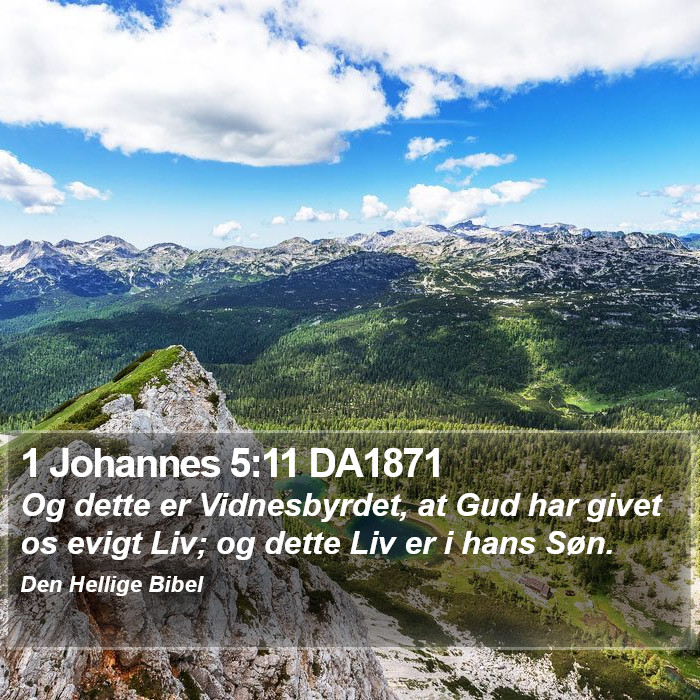 1 Johannes 5:11 DA1871 Bible Study