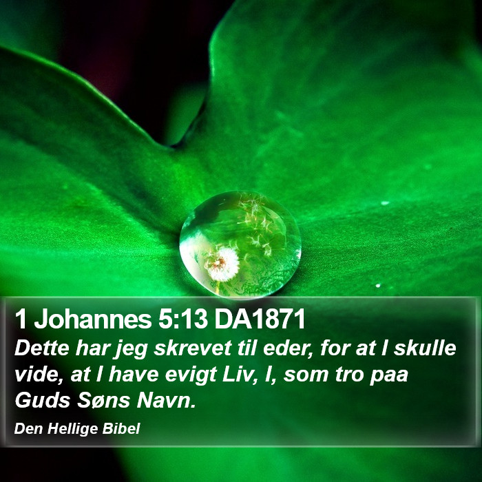 1 Johannes 5:13 DA1871 Bible Study