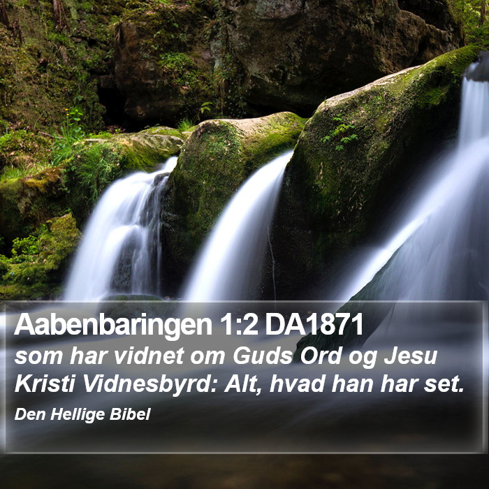 Aabenbaringen 1:2 DA1871 Bible Study