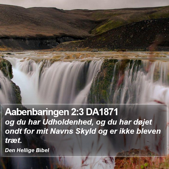 Aabenbaringen 2:3 DA1871 Bible Study