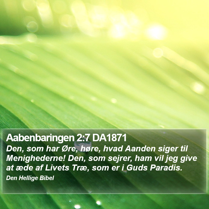 Aabenbaringen 2:7 DA1871 Bible Study