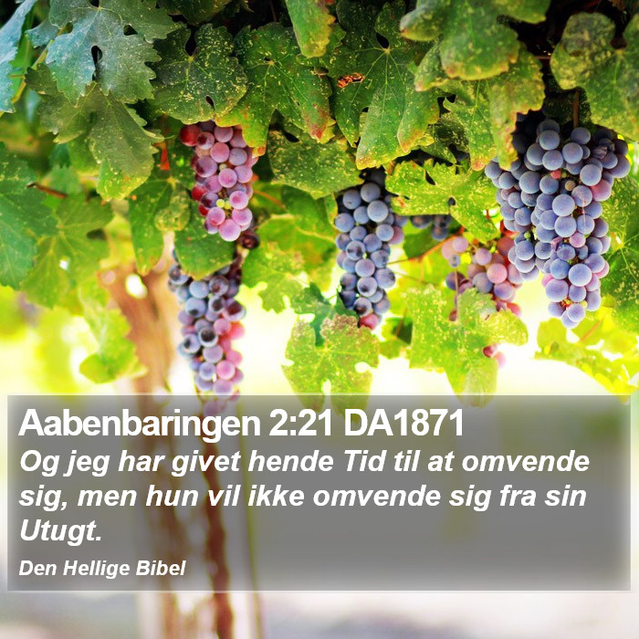 Aabenbaringen 2:21 DA1871 Bible Study