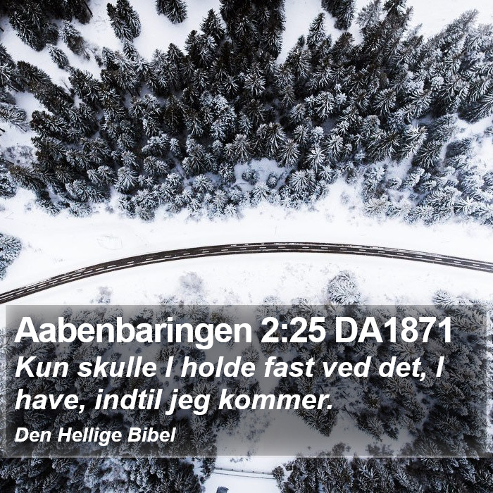 Aabenbaringen 2:25 DA1871 Bible Study