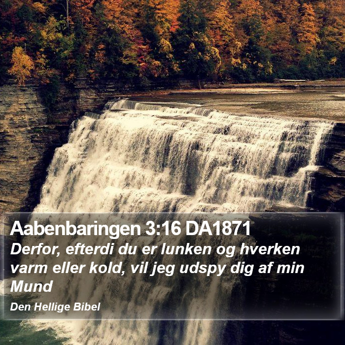 Aabenbaringen 3:16 DA1871 Bible Study