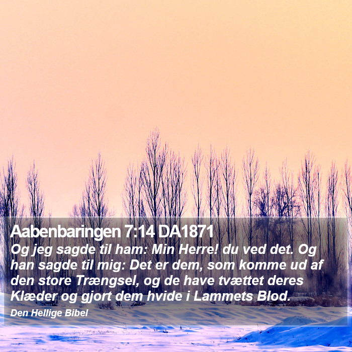 Aabenbaringen 7:14 DA1871 Bible Study