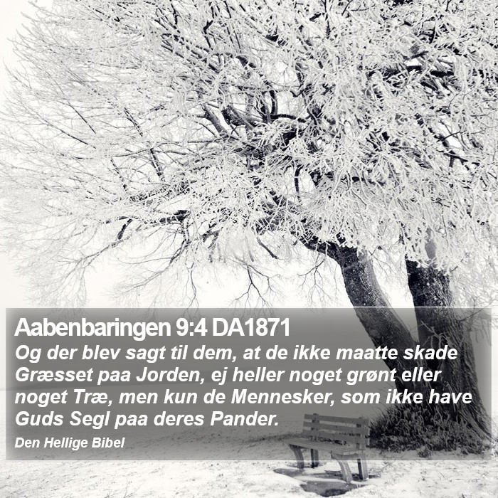 Aabenbaringen 9:4 DA1871 Bible Study